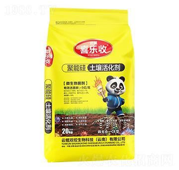 ���ܹ��������-�t̫�(y��ng)