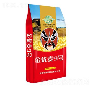 ����(y��u)��9̖(h��o)-С���N��-�t̫�(y��ng)