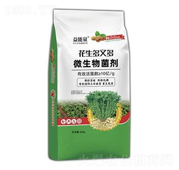 ΢�������-�������ֶ�-������-��������