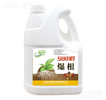 ΢�������-����-�����S-��������