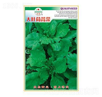 ����N��-���~�����-̫���N�I(y��)