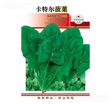 ���˷N��-���ؠ�����-̫���N�I(y��)