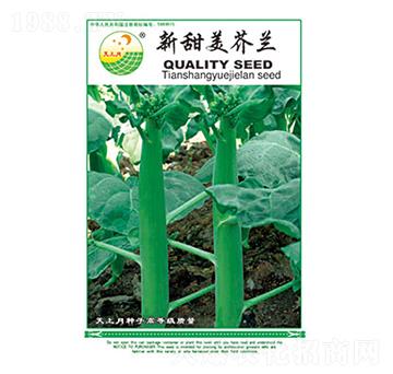 ���m�N��-���������m-̫���N�I(y��)