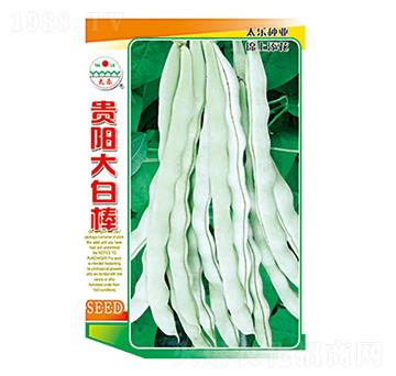 �����N��-�Fꖴ�װ�-̫���N�I(y��)