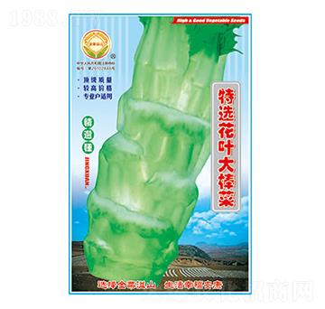 ���˷N��-���x���~�����-̫���N�I(y��)