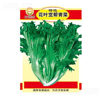 ��˷N��-���x���~�������-̫���N�I(y��)