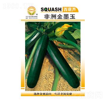 �����J�N��-���޽�ī��-̫���N�I(y��)