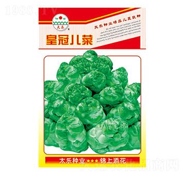 ���˷N��-�ʹڃ���-̫���N�I(y��)