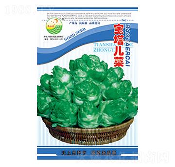 ���˷N��-��������-̫���N�I(y��)