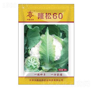 ¡��60-��¡����-��¡�r(n��ng)�I(y��)