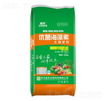 �������-��(y��u)��������-��������