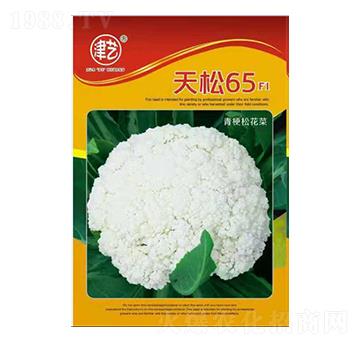 ���˷N��-����65-���S�r(n��ng)�I(y��)