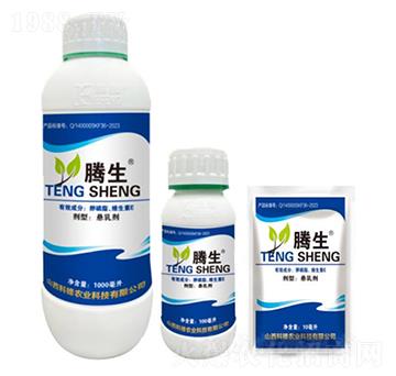 ����֬���S����E-�v��-�õ���