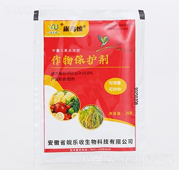 ���ﱣ�o��-ȸ�B�@-�������