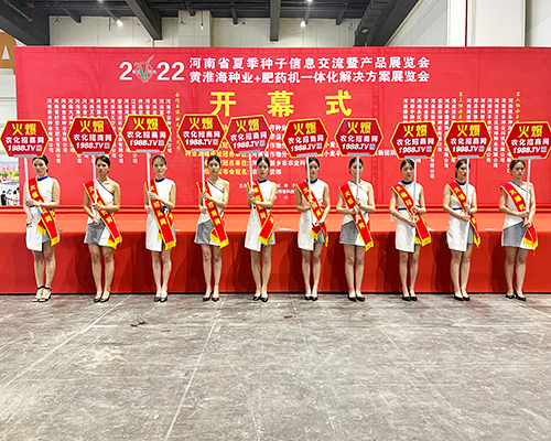 �����]�����Ĵ������������L(f��ng)�ɱM�@��